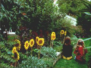 Obst- und Gartenbauverein Ilmmünster